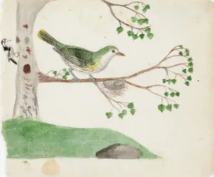 Wright Ferdinand Von Prints: Lesser Spotted Woodpecker (male) and Eurasian Golden Oriole (female)