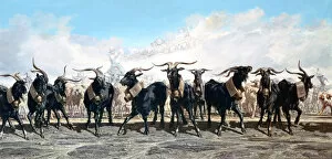 Horned Gallery: Let us take out the herd, 1853. Artist: Emile Charles Joseph Loubon