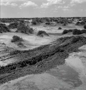 Levelling Prints: Leveling hummocks in the dust bowl