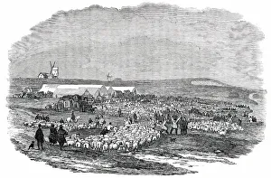 Lewes Great Sheep Fair, 1850. Creator: Unknown