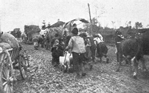 Wagons Prints: L'exode des paysans serbes.'. Creator: Unknown