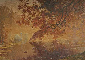Swans Prints: L'heure blonde, automne au lac Saint James, before 1911. Creator: Pierre Montezin