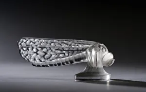 Automibilia Gallery: Libellule, small, Lalique mascot. Creator: Unknown