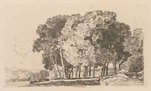 John Sell Cotman British Prints: Liber Studiorum: Plate 3, Trees near Twickenham, 1838. Creator: John Sell Cotman (British
