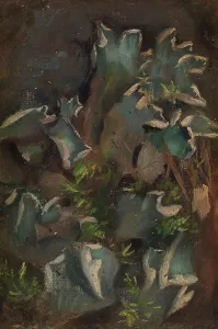 Lichen Prints: Lichen, sketch for the painting Fairy Tale Princess