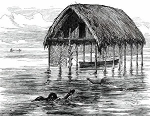 Thatch Collection: Lieutenant Cameron's Sketches in Central Africa: a lake dwelling on Lake Moheya, 1876