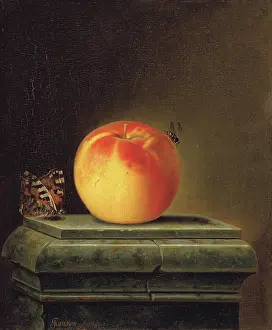 1760s Prints: Still Life with Apple and Insects, 1765. Creator: Justus Juncker