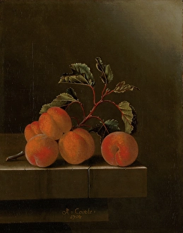 Number Prints: Still Life with Five Apricots, c1680-1700. Creator: Adriaen Coorte