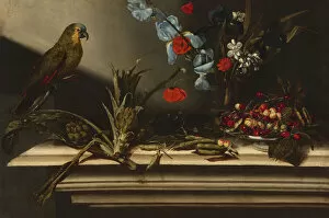 Cherries Gallery: Still Life with Artichokes and a Parrot, 17th century. Creator: Unknown