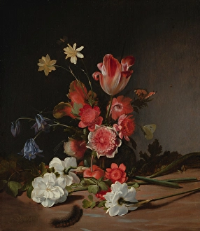 Tulipa Prints: Still Life with a Bouquet in the Making, c1660-1690. Creator: Dirck de Bray