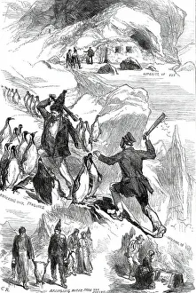 Penguin Prints: Life on the Crozet Islands, from sketches supplied by Mr