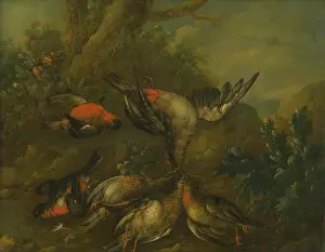 Pheasant Prints: Still Life with Dead Birds, 1720-1730. Creator: Philipp Ferdinand de Hamilton