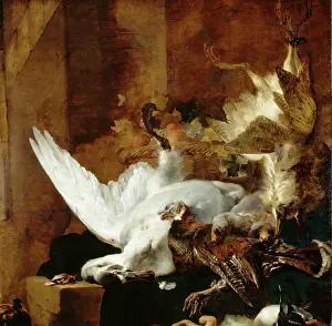 Pheasant Prints: Still Life with a Dead Swan, c1651. Creator: Jan Baptist Weenix