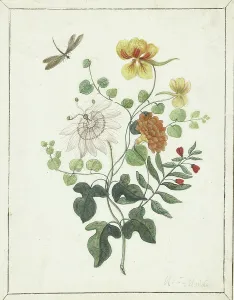Passiflora Prints: Still Life of Flowers, c.1600-c.1687. Creator: Machtelt Moninckx