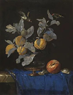 Pomegranate Prints: Still Life with Fruit, 1664. Creator: Willem van Aelst