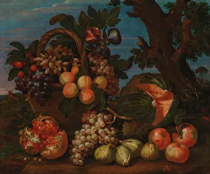 Still life with fruit, 1675-1720. Creator: Franz Werner von Tamm