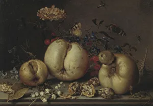Shells Prints: Still Life with Fruit and Shells. Creator: Balthasar van der Ast