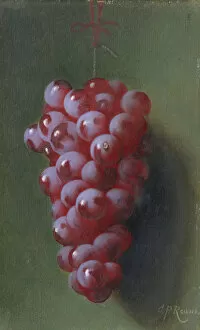 Bloom Collection: Still Life with Grapes. Creator: Carducius Plantagenet Ream