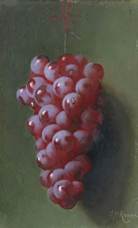 Bloom Collection: Still Life with Grapes. Creator: Carducius Plantagenet Ream