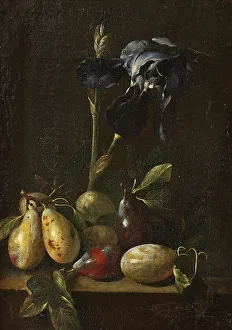 Freesia Prints: Still Life with an Iris and Plums. Creator: Attributed to Pietro Paolo Bonzi  (1576-1636)