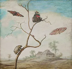 Moth Prints: Still life with landscape, 17th century. Creator: Margareta de Heer