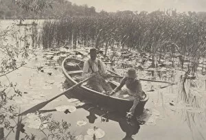 Waterlily Gallery: Life and Landscape on the Norfolk Broads, 1885-86. 1885-86