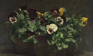 Black Background Prints: Still Life with Pansies, 1892. Creator: Henri Fantin-Latour