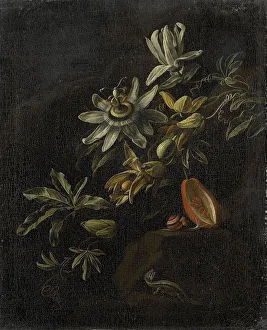 Snail Prints: Still Life with Passionflowers, 1670-1708. Creator: Elias Van Den Broeck
