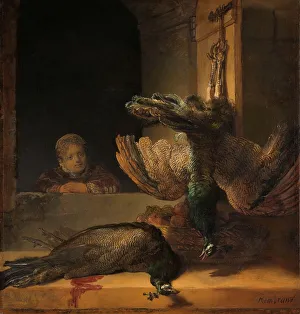 Dead Animal Prints: Still Life with Peacocks, c.1639. Creator: Rembrandt Harmensz van Rijn