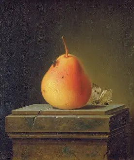 1760s Prints: Still Life with Pear and Insects, 1765. Creator: Justus Juncker