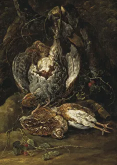Fijt Joannes Prints: Still Life with Quails and a Partridge. Creator: Jan Fyt