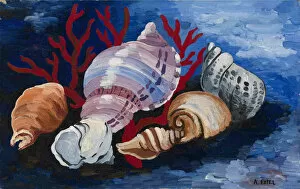Alexandra Alexandrovna 1882 1949 Gallery: Still Life with Sea Shells, ca 1928. Artist: Exter, Alexandra Alexandrovna (1882-1949)