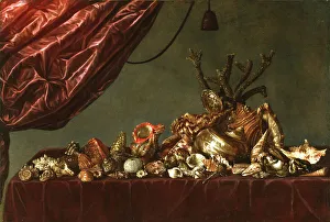 Shells Prints: Still Life with Shells, 1659. Creator: Susenier, Abraham (c. 1620-c. 1666)