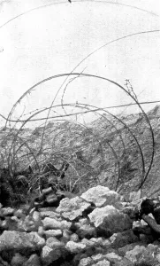 Life in the trenches in Champagne; In the wires of an adjoining trench... 1917. Creator: Unknown