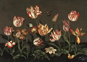 Bosschaert Gallery: Still Life with Tulips