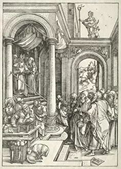 Early 16th Century Gallery: Life of the Virgin: Presentation of the Young Virgin in the Temple, 1504-1505. Creator