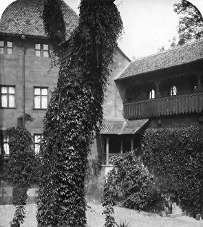 Images Dated 7th February 2008: Lime tree in a courtyard, Nuremberg, Bavaria, Germany, c1900s.Artist: Wurthle & Sons