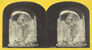 A Lincoln Prints: Lincoln Memorial. Dissected Leaves. 1860 / 69. Creator: Anthony & Company