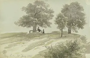 Three Linden Trees, 1881. Creator: Heinrich Adolf Valentin Hoffmann