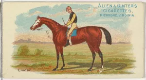 Horseracing Prints: Linden, from The Worlds Racers series (N32) for Allen & Ginter Cigarettes, 1888