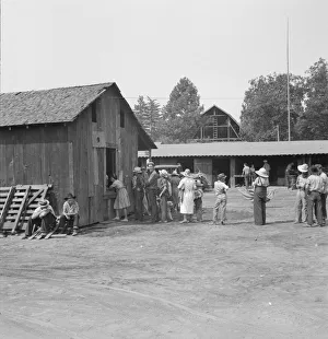 Part of the lineup at paymasters window... near Grants Pass, Josephine County, Oregon, 1939. Creator: Dorothea Lange