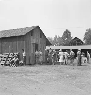 Part of the lineup at paymasters window... near Grants Pass, Oregon, 1939. Creator: Dorothea Lange