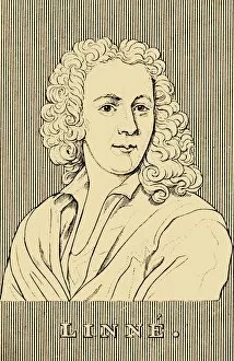 Carl Von Linne Collection: Linne, (1707-1778), 1830. Creator: Unknown