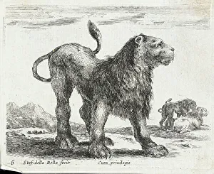 Pierre Mariette Prints: A Lion, 1641. Creator: Stefano della Bella