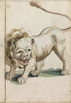 Beaumont Hendrick Van Prints: Lion, 1696. Creator: Hendrick van Beaumont
