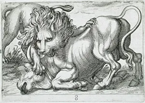 Biting Prints: A Lion Attacking a Bull, 1610. Creator: Hendrick Hondius I