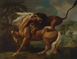 Academic Collection: A Lion Attacking a Horse, 1762. Creator: George Stubbs