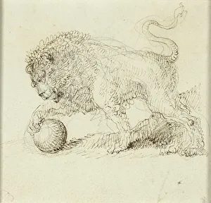 Bison Giuseppe Bernardino Prints: Lion with Ball, n.d. Creator: Giuseppe Bernardino Bison