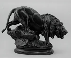 Bonheur Marie Rosa Prints: Lion, c. 1880. Creator: Rosa Bonheur