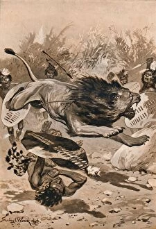 As The Lion Charged, 1902, (1903). Artist: Stanley Llewellyn Wood